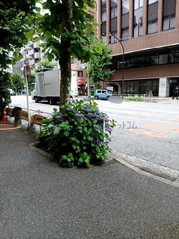 物件周辺