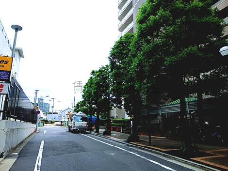 物件周辺