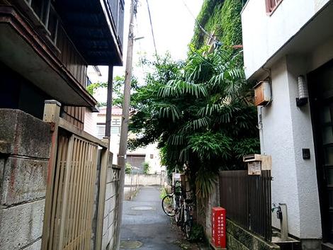 物件周辺