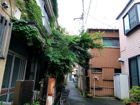 物件周辺