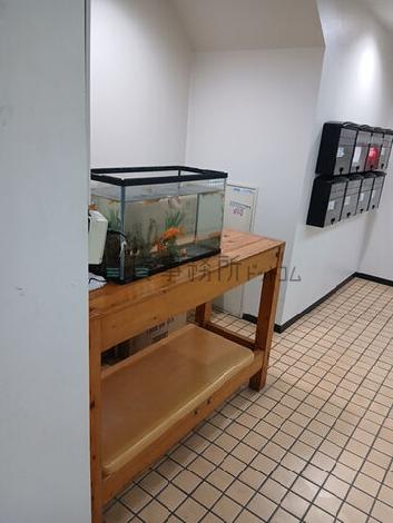 金魚がいます