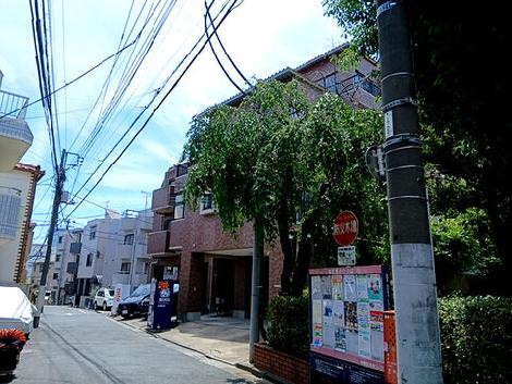 物件周辺