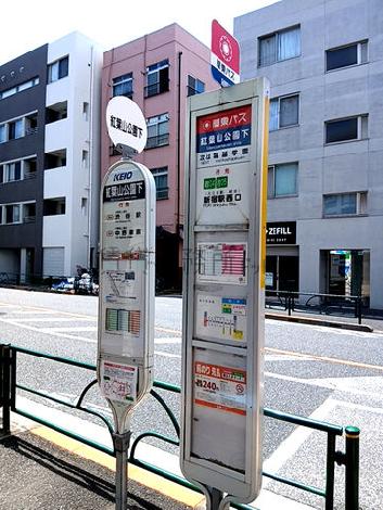 物件周辺