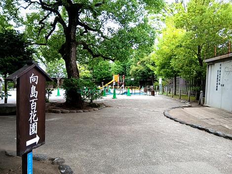 物件周辺