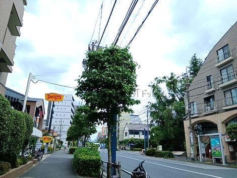 物件周辺
