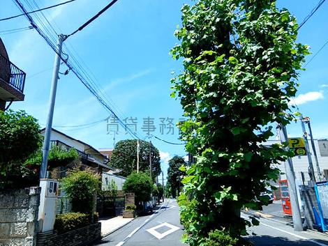 物件周辺