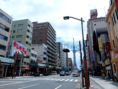 物件周辺