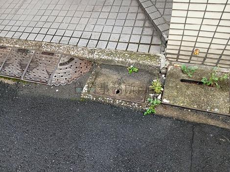 正面玄関
