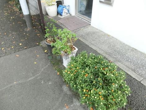 正面玄関