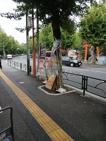 物件周辺
