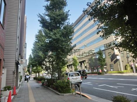 大通りが目の前です