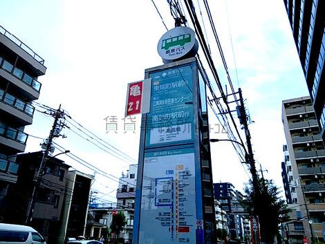 物件周辺