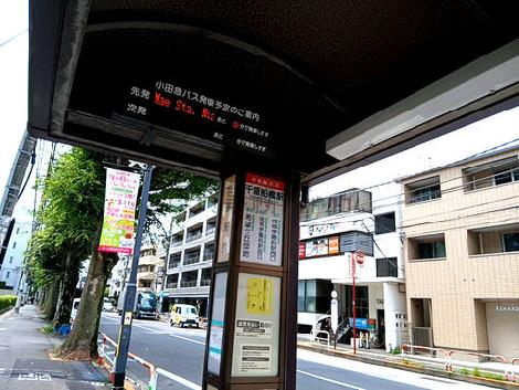 物件周辺