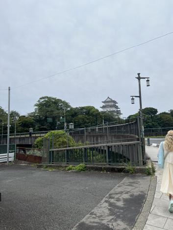 小田原城が佇んでいます