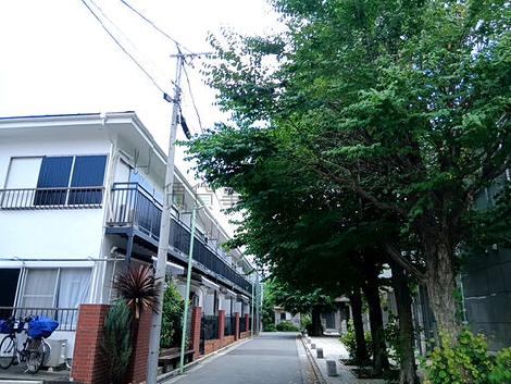 物件周辺