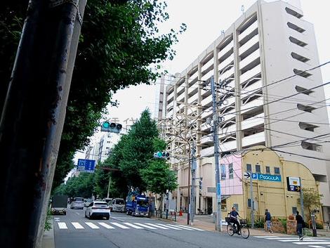 物件周辺