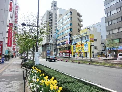手入れのされている街並み