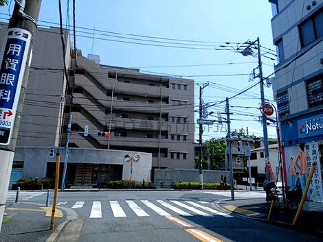 物件周辺