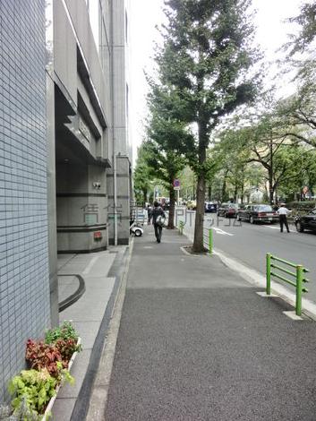 緑が多く心癒される歩道です