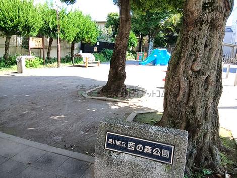 物件周辺