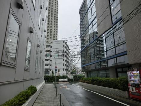 周辺の1階部分には緑が多くあります