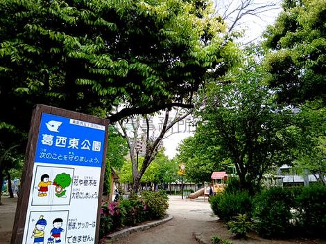 物件周辺