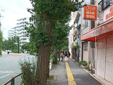物件周辺