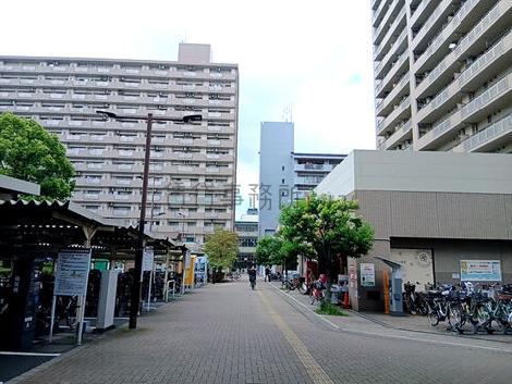 物件周辺