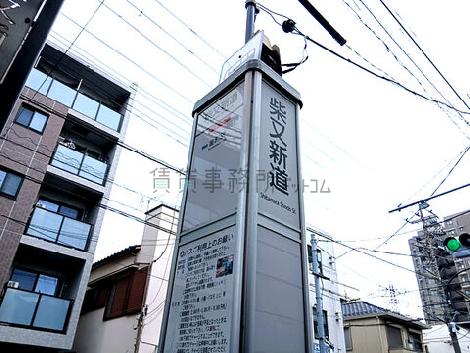 物件周辺