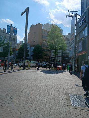 物件周辺