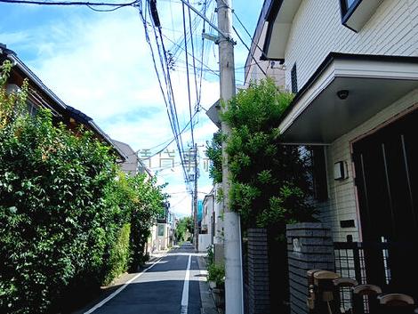 物件周辺