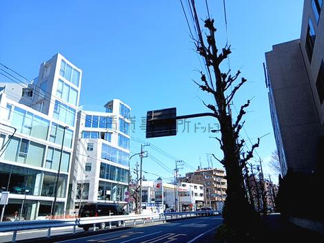 物件周辺