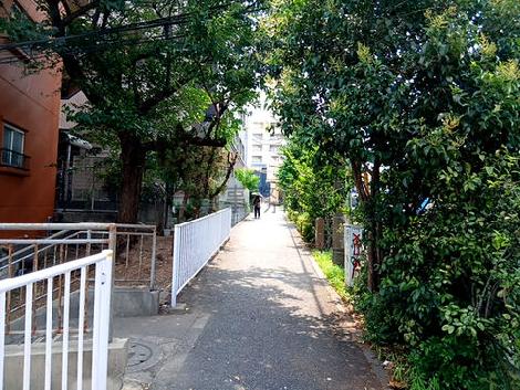 物件周辺