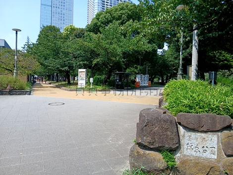 物件周辺
