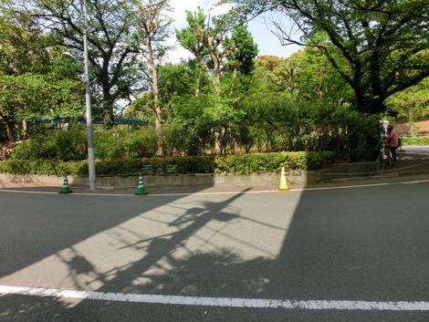 物件から見た周辺です
