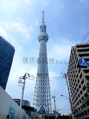 物件周辺