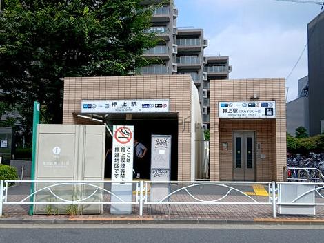 物件周辺