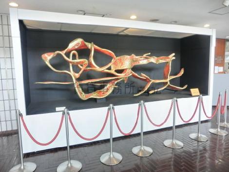 エントランス内には作品が展示されています