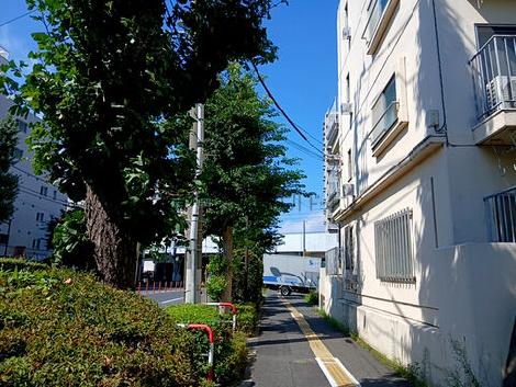 物件周辺