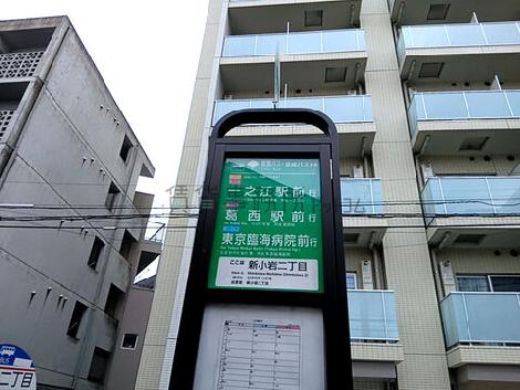 物件周辺