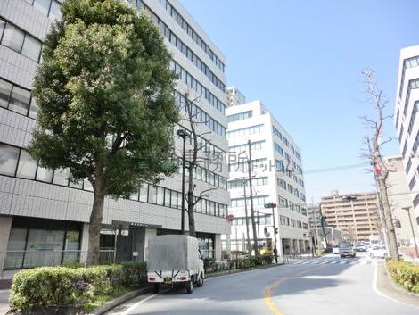 街路樹のある通り