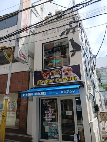 自由が丘2丁目店舗の外観写真