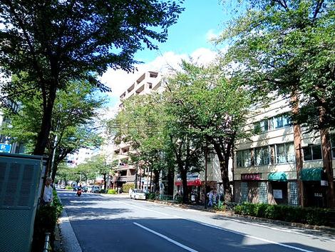 物件周辺