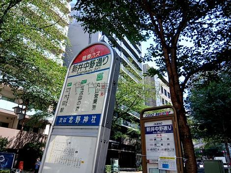 物件周辺