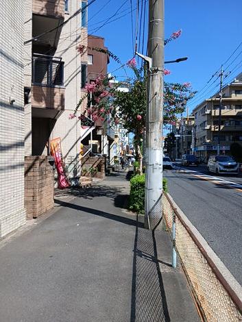 物件周辺