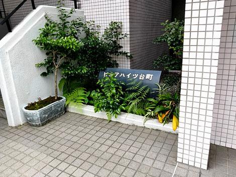 正面玄関