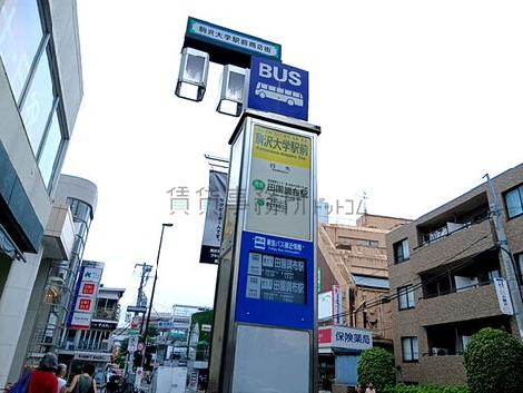 物件周辺