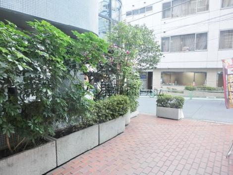 玄関から見た前面道路