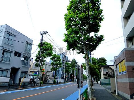 物件周辺