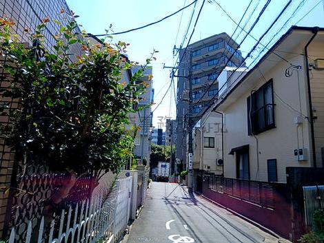 物件周辺